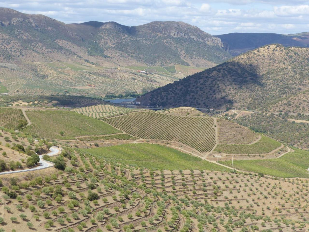 Casa Das Castas Wine Guesthouse Vermiosa Dış mekan fotoğraf
